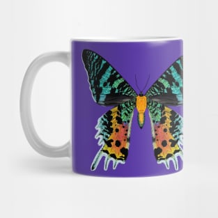 Madagascan Sunset Moth Illustration Mug